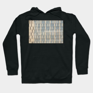 European Court of Justice, Luxembourg Hoodie
